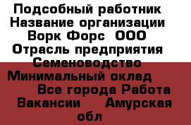 Подсобный работник › Название организации ­ Ворк Форс, ООО › Отрасль предприятия ­ Семеноводство › Минимальный оклад ­ 30 000 - Все города Работа » Вакансии   . Амурская обл.